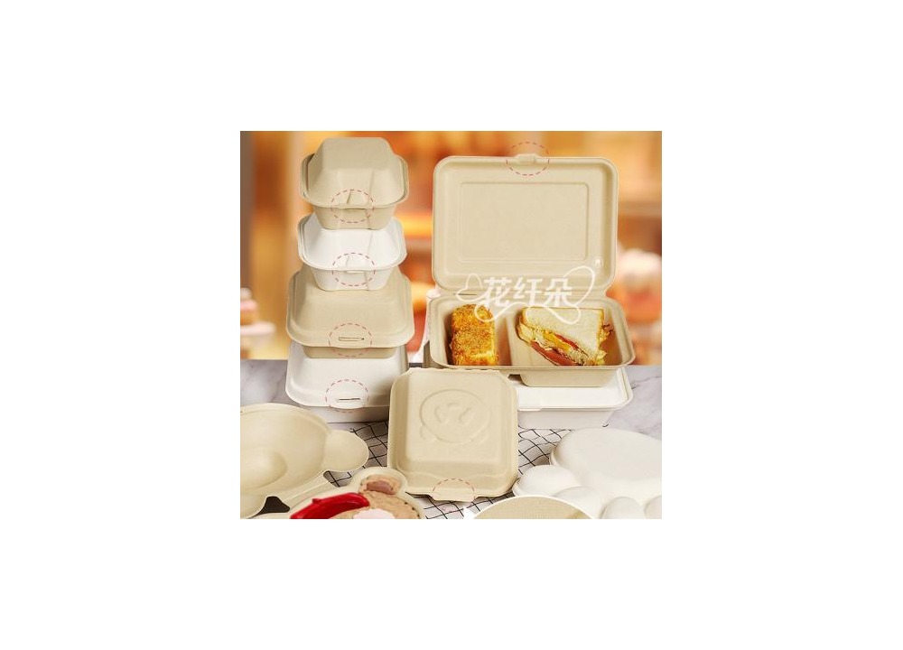 Bagasse food containers