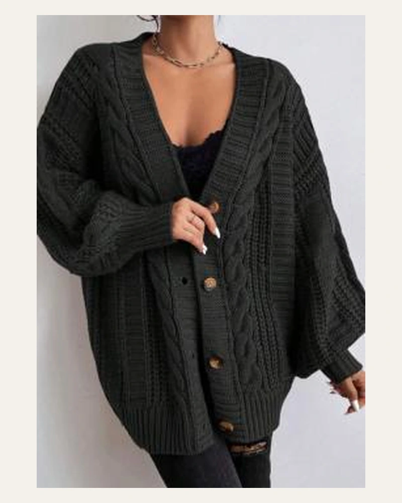 SWT-010 2